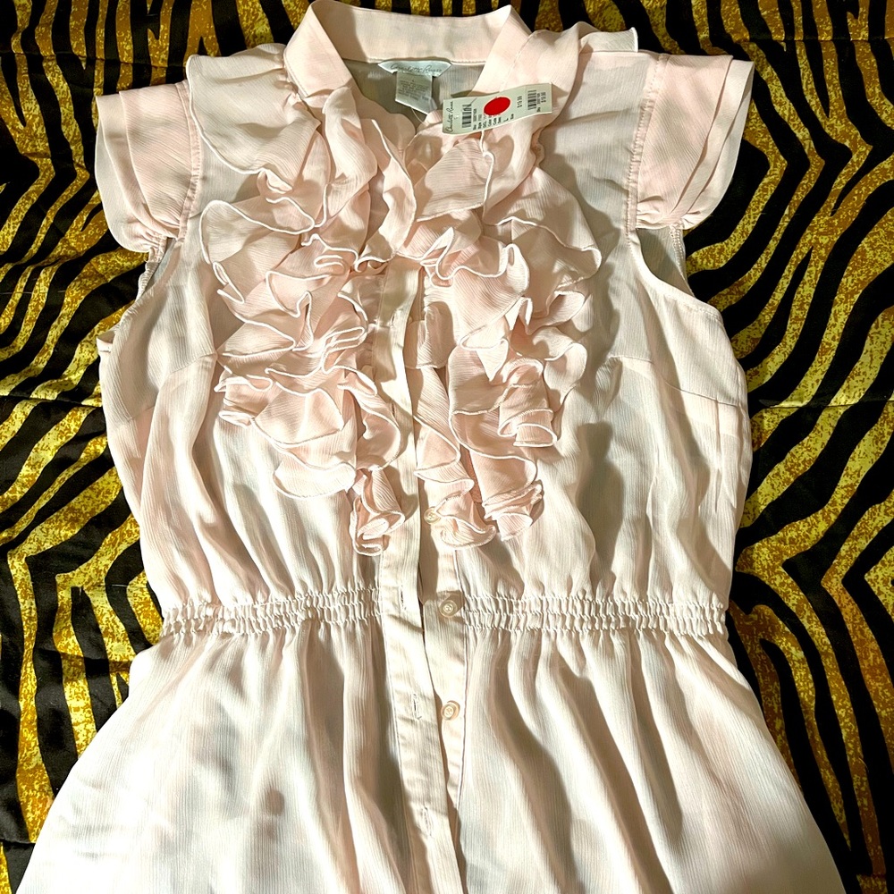 Light Pink Charlotte Russe sheer dress top.